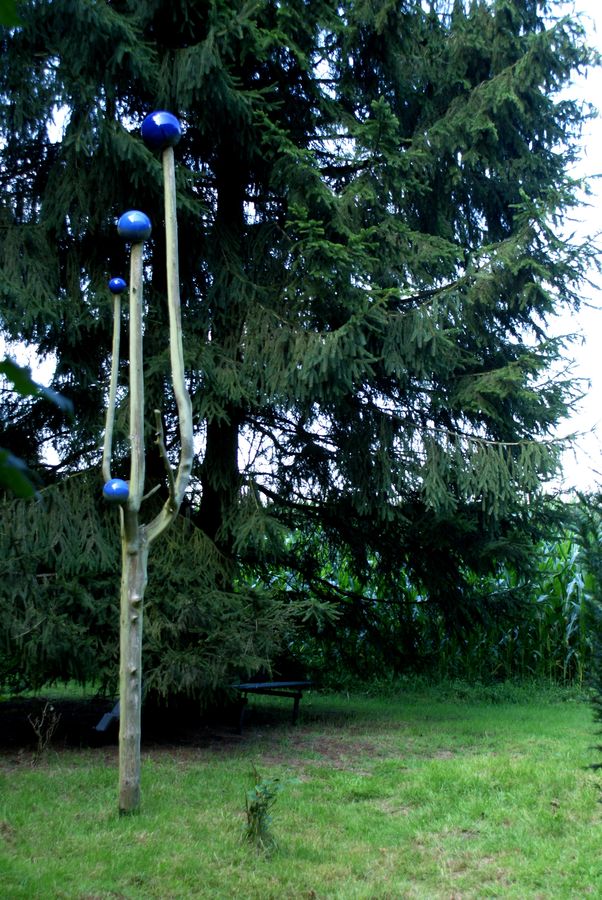 DSC01238