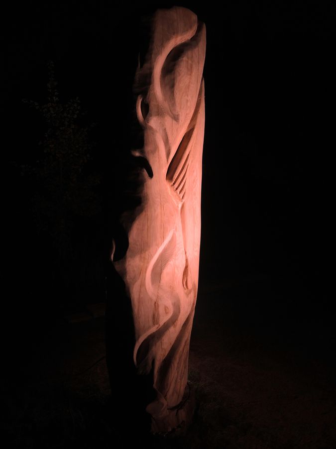 DSCN9429