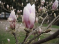 DSCN1849