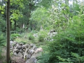 DSCN2636
