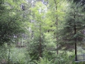 DSCN2659