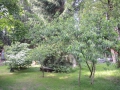DSCN2694