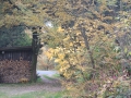 DSCN9318