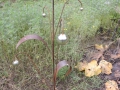 DSCN9323