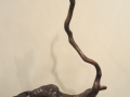 DSCN6864