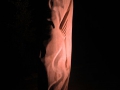 DSCN9429