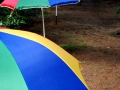 SONY DSC