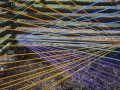 DSCN3083