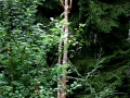 Kunst&Garten_07_031
